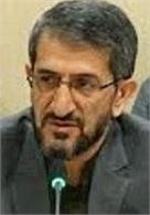 محمدمهدی زارعی